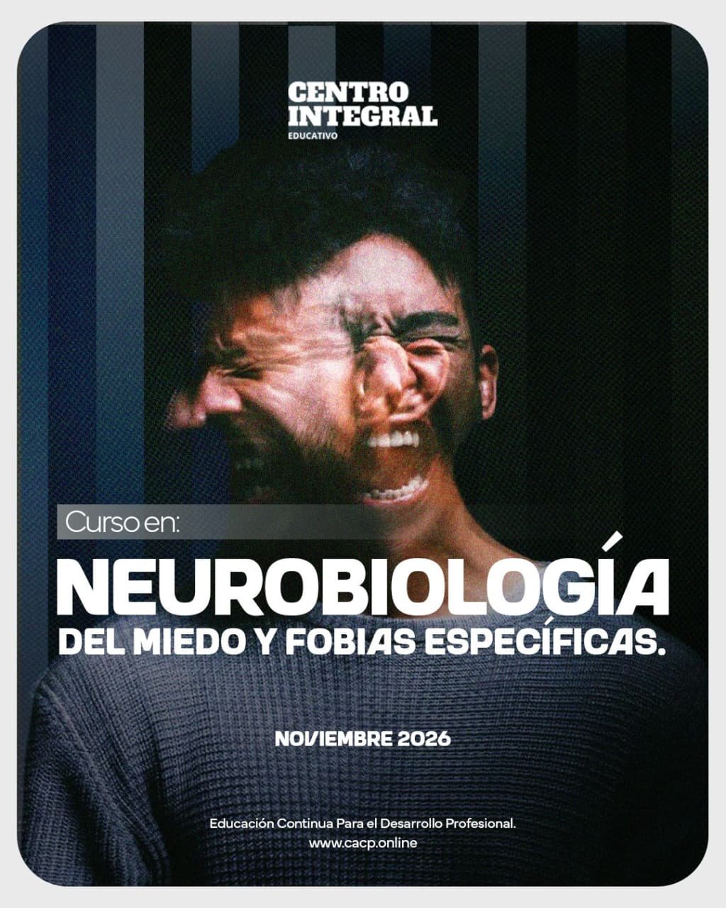 Neurobiología Del Miedo Y Fobias Específicas - Noviembre 